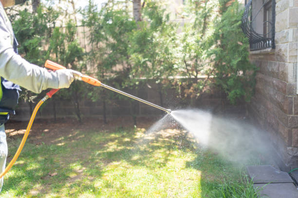 Best Wasp Removal Services  in Greentree, NJ